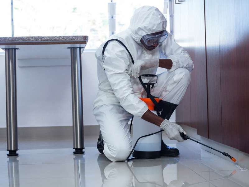 Advantages of Professional Pest Control in your business