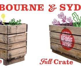 The Little Veggie Patch Company