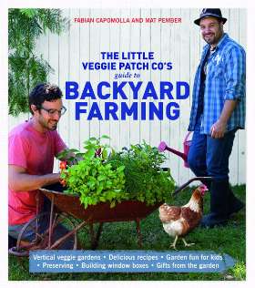 The Little Veggie Patch Company