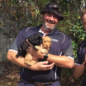 Gold Coast Plumbing Company