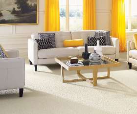 Deluxe Carpet Steam Cleaning