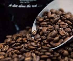 Gus' Coffee (North Side Plaza)