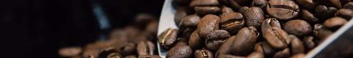 Gus' Coffee (North Side Plaza) Banner