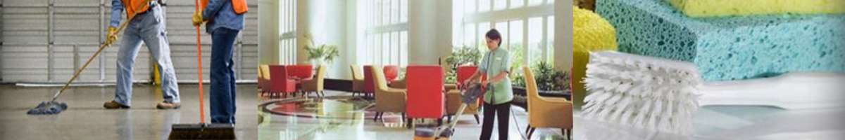 Squeaky Clean Carpet Banner