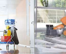 Squeaky Clean Carpet