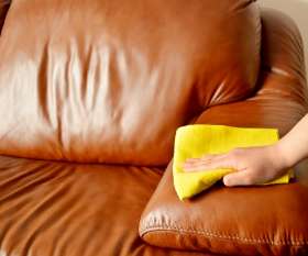 Deluxe Upholstery Cleaning
