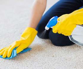 Spotless Carpet Steam Cleaning