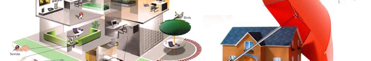 Same Day Pest Control Banner