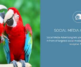 digitaladvertisingWorks