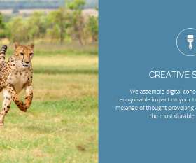 digitaladvertisingWorks