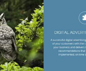 digitaladvertisingWorks