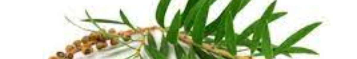 advancingwithwellness.com Banner