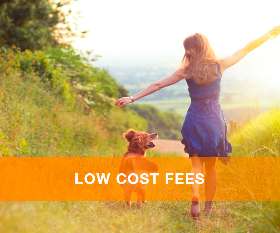 Efficient Family Law