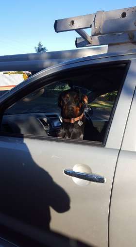 AJ's Plumbing, Gas and Earthworks