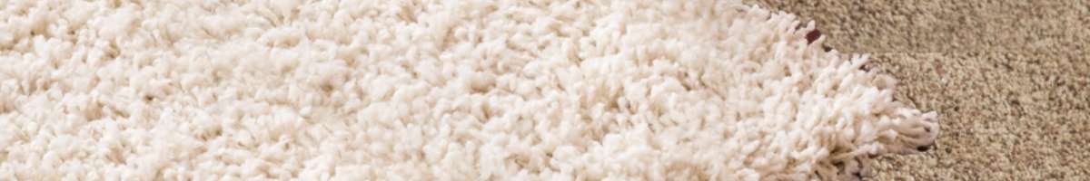 Koala Cleaning Banner