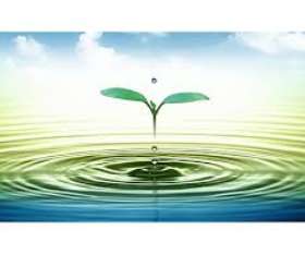 Malvern Natural Health Care (MNHC)