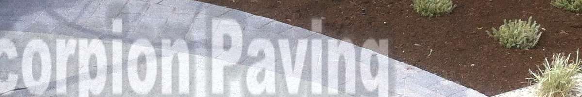Scorpion Paving Banner