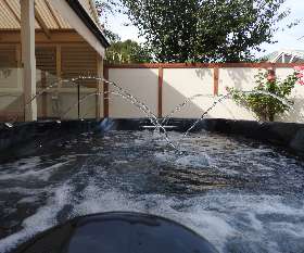 Australian Outdoor Living
