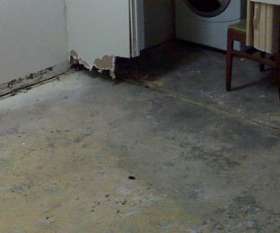 Magic Cleaning Services