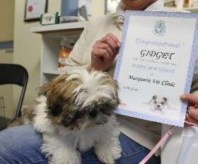 Macquarie Veterinary Clinic 