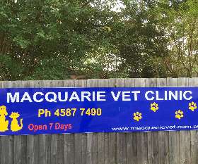 Macquarie Veterinary Clinic 