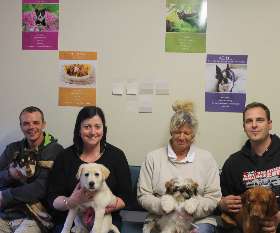 Macquarie Veterinary Clinic 