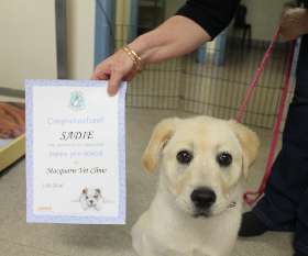 Macquarie Veterinary Clinic 