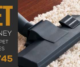 Sydney Cleaning Support