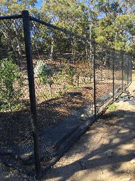Custom Fencing