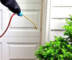 Female Choice Pest Control