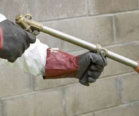 Female Choice Pest Control