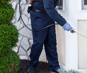 Female Choice Pest Control