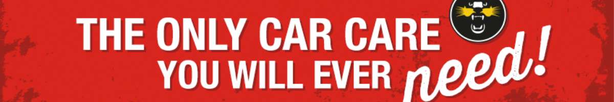 Kitten Car Care Banner