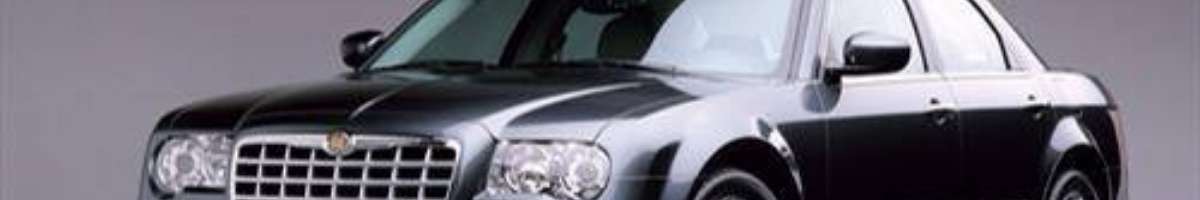Rhino Security Group Banner