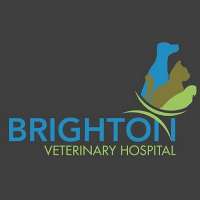 Brighton Veterinary Hospital Logo