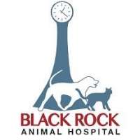 Black Rock Animal Hospital Logo