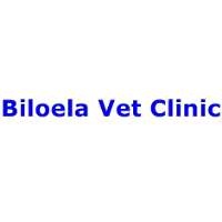 Biloela Vet Clinic Logo