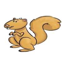 Squirrel Home Improvements Logo