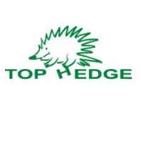 Top Hedge Logo