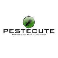 Pestecute Pty Ltd Logo