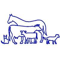 Casino Veterinary Clinic Logo