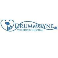 Drummoyne Veterinary Clinic Logo
