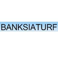 Banksia Turf Logo