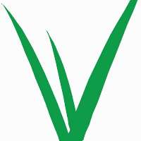 Living Turf Logo