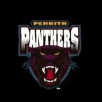 Panther Glass Pty Ltd Logo