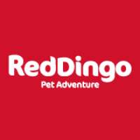 Red Dingo Logo