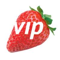 VIP Packaging - Minto Logo