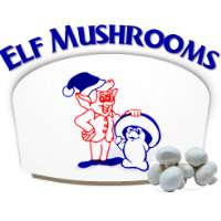 Elf Mushrooms Logo