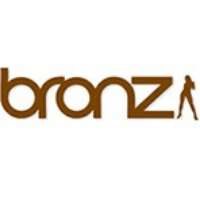 Bronz Logo