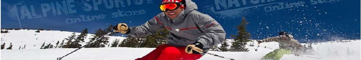 Alpine Sports Banner